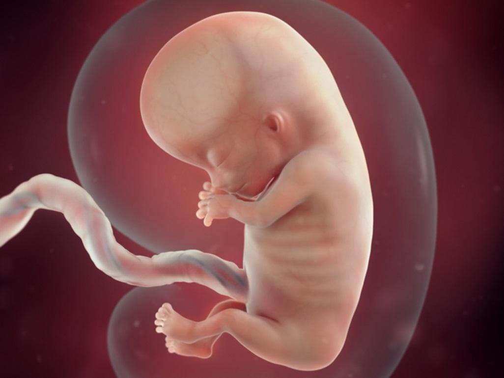 Seven-month-old fetus weight and its normal value