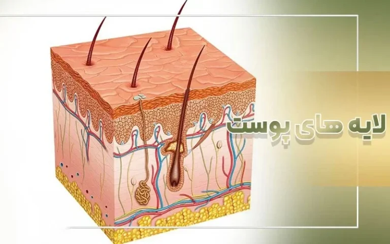 شناخت لایه های پوست در پاکسازی