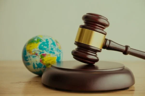 چرا انتخاب گرایش تخصصی برای مهاجرت حقوقی حیاتی است؟